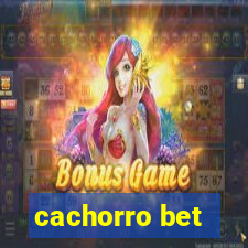 cachorro bet