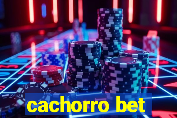 cachorro bet