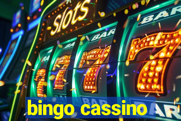 bingo cassino