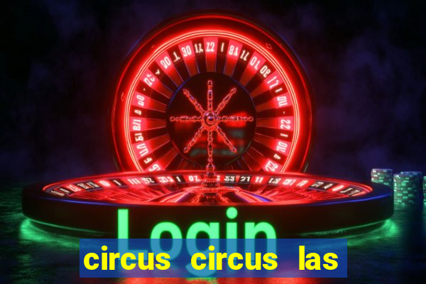 circus circus las vegas hotel & casino