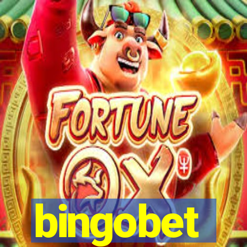 bingobet