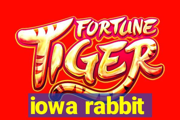 iowa rabbit