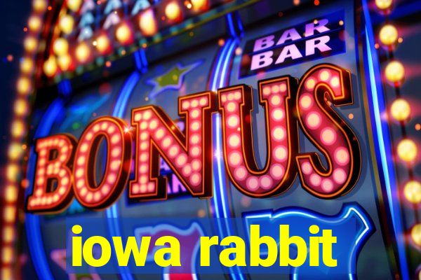 iowa rabbit