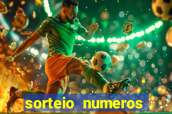 sorteio numeros bingo online