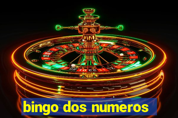 bingo dos numeros