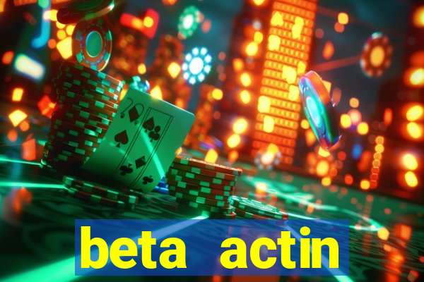 beta actin molecular weight