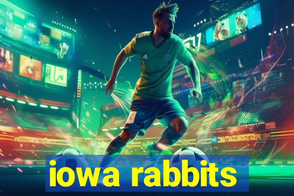 iowa rabbits