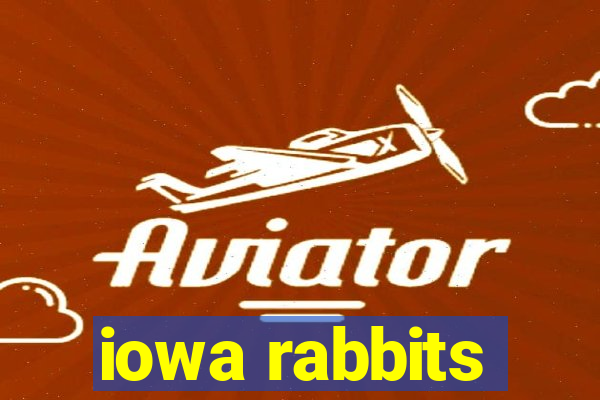 iowa rabbits