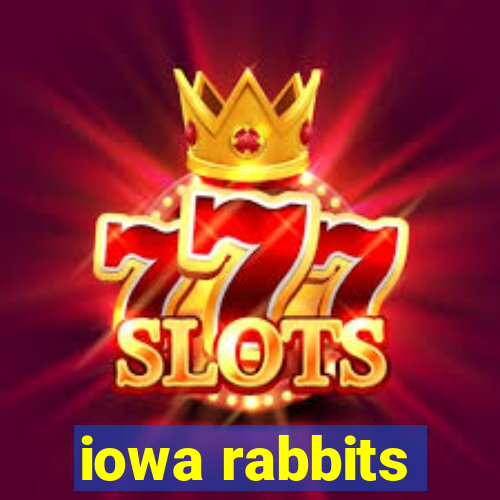 iowa rabbits