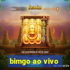 bimgo ao vivo