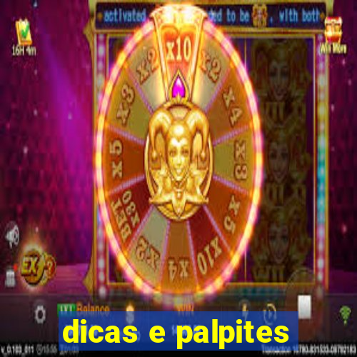 dicas e palpites