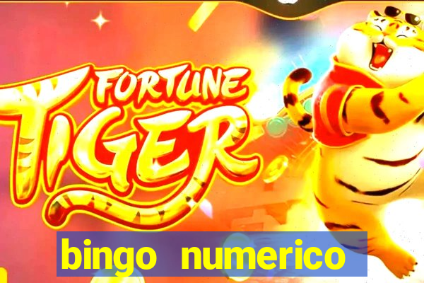 bingo numerico educa??o infantil