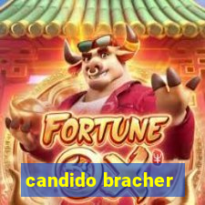 candido bracher