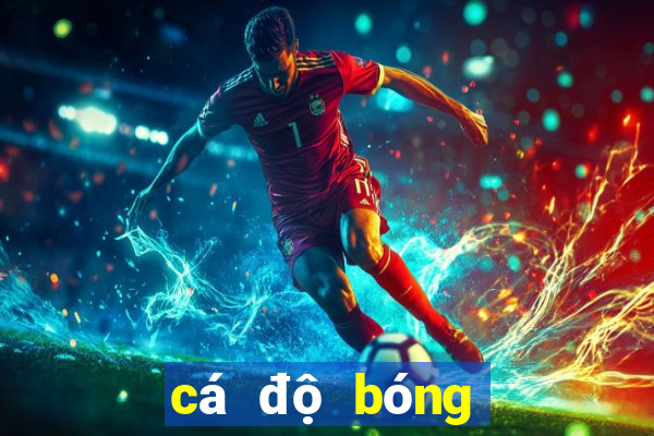 cá độ bóng đá online