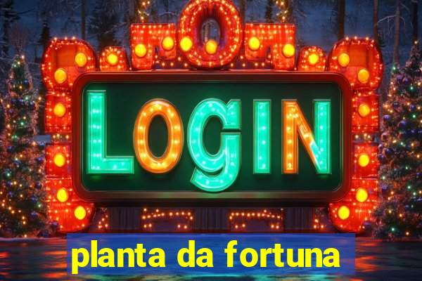 planta da fortuna