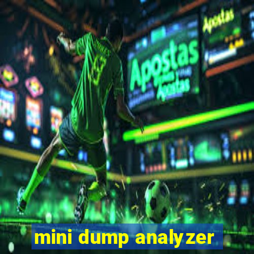 mini dump analyzer