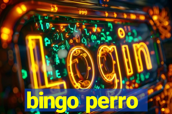 bingo perro