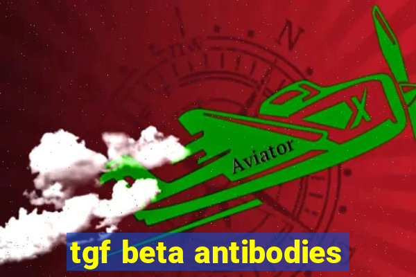 tgf beta antibodies