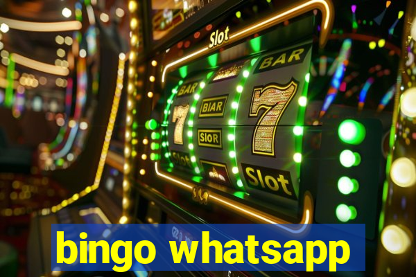 bingo whatsapp