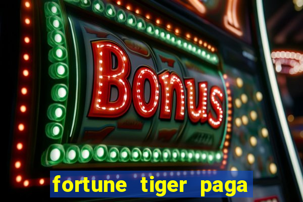 fortune tiger paga de madrugada