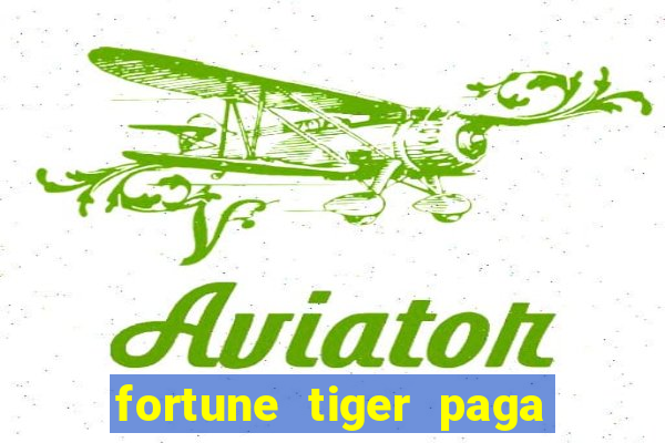 fortune tiger paga de madrugada