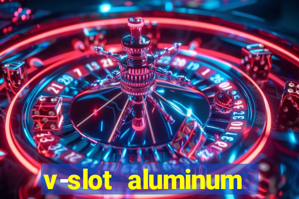 v-slot aluminum profile extrusion