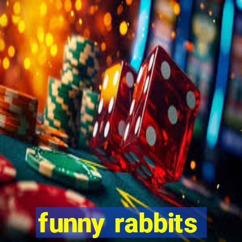 funny rabbits