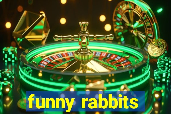 funny rabbits