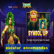 eucatur encomendas porto velho