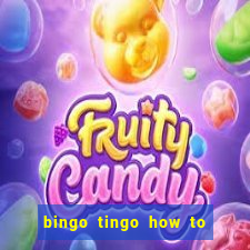 bingo tingo how to use canva