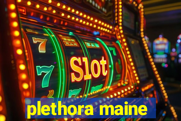 plethora maine