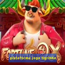 plataforma jogo tigrinho