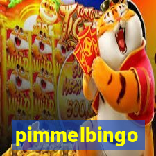 pimmelbingo