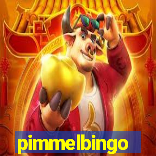 pimmelbingo