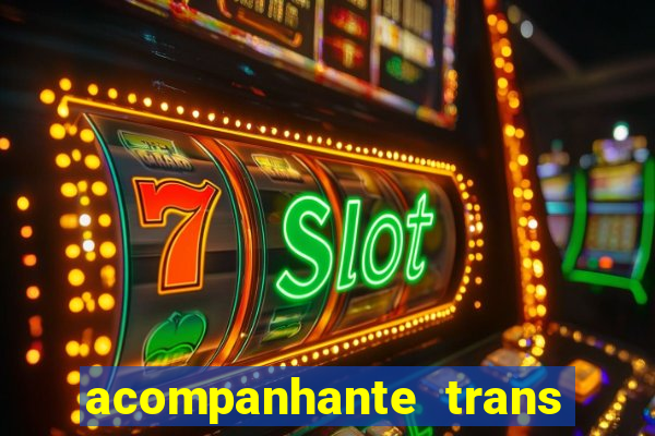 acompanhante trans em santos