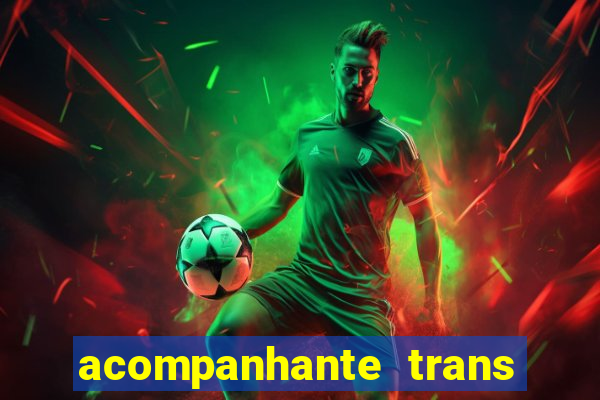 acompanhante trans em santos