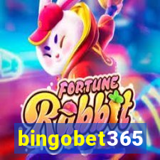 bingobet365