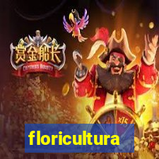 floricultura cruzeiro novo