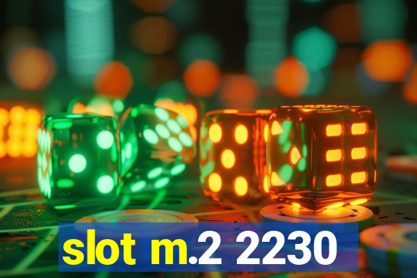 slot m.2 2230