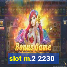 slot m.2 2230