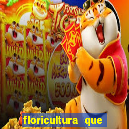 floricultura que faz entrega