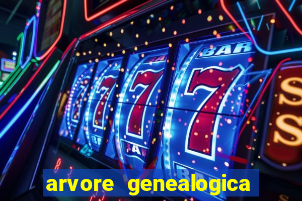 arvore genealogica dos gracie