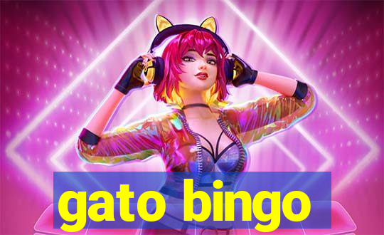 gato bingo