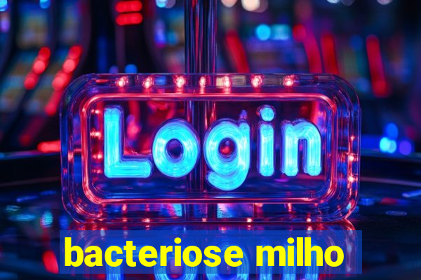 bacteriose milho