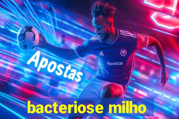 bacteriose milho