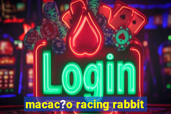 macac?o racing rabbit