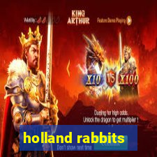 holland rabbits