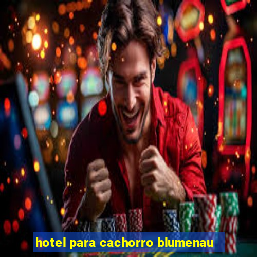 hotel para cachorro blumenau