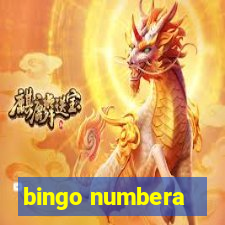 bingo numbera