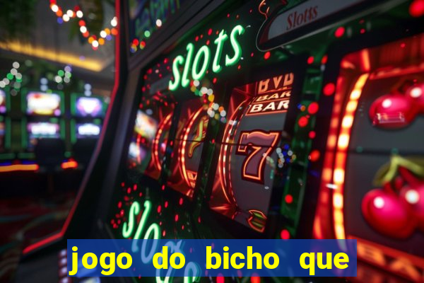 jogo do bicho que paga no pix